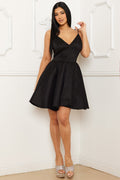 Symphony Dress - Taffeta Fabric With Sheer Lace Back Mini Dress | Zezebe